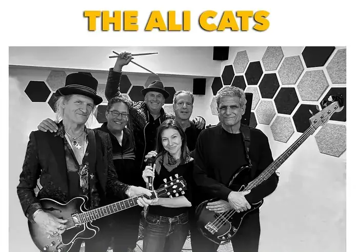 The Ali Cats Collective