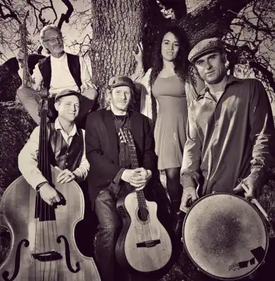 French Oak Gypsy Band