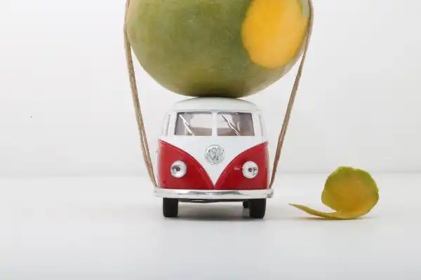 Mangobus